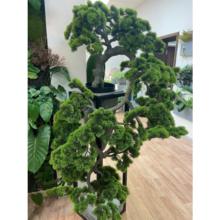 Bonsai cascad 1,4m