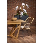 Masa Wenanty MDF furnir nuc 160/240x100