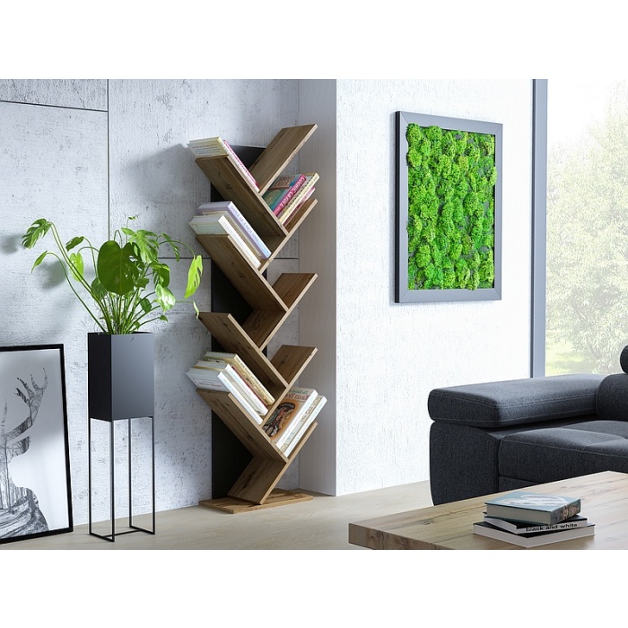 Raft Noel pal dab/negru 155x45